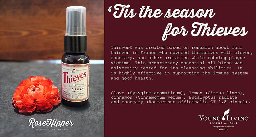 Young Living Thieves photo, story and ingredients.